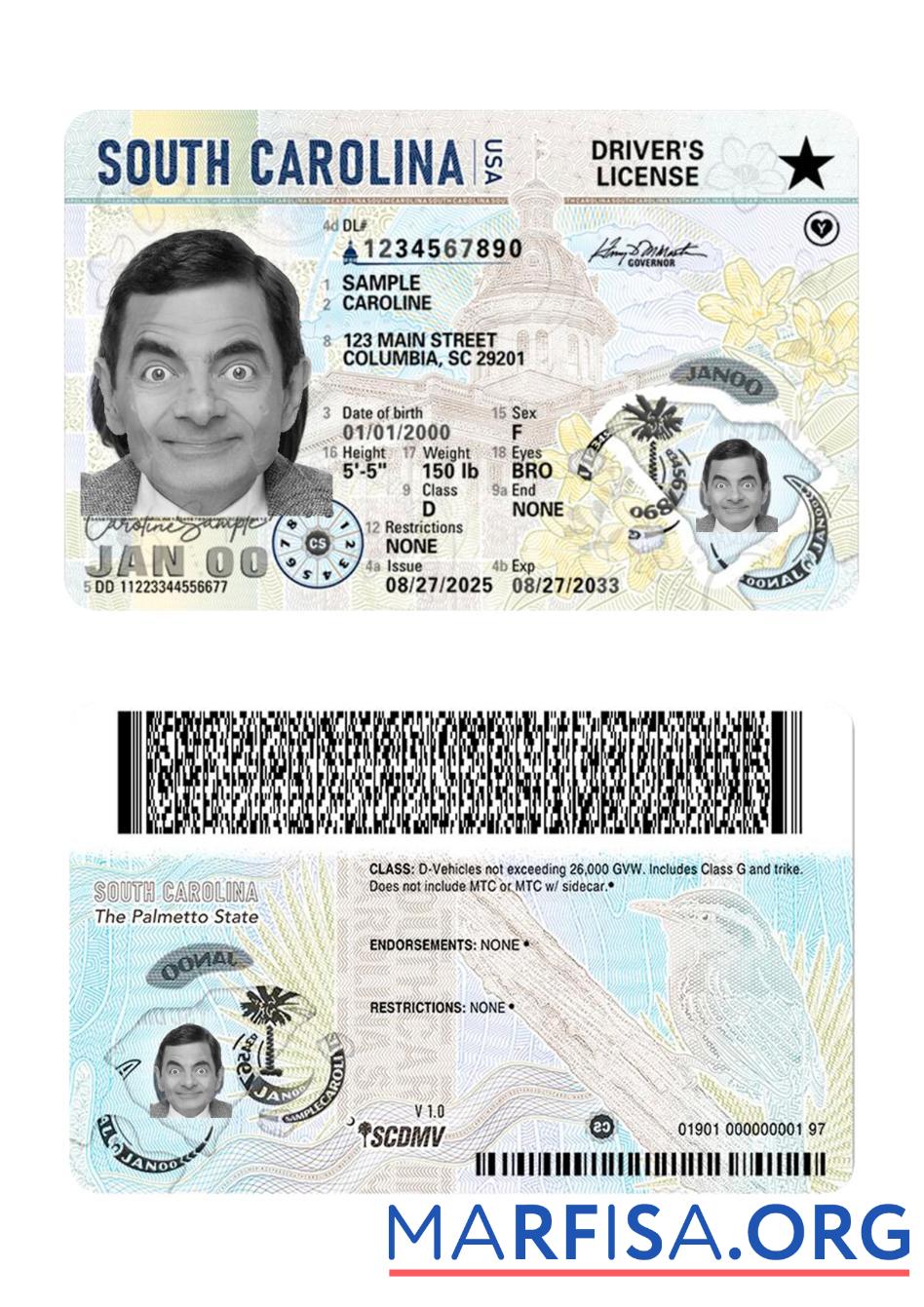 Downloadable USA South Carolina driving license 2025 present template